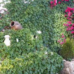 Мини-отель Аркадия, Джубга, Краснодарский край