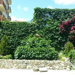 Мини-отель Аркадия, Джубга, Краснодарский край