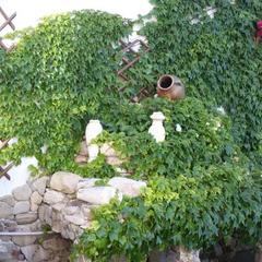 Мини-отель Аркадия, Джубга, Краснодарский край