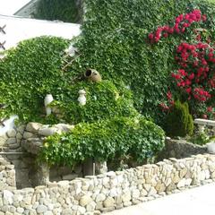 Мини-отель Аркадия, Джубга, Краснодарский край