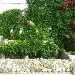 Мини-отель Аркадия, Джубга, Краснодарский край