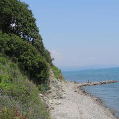 Спа-отель Гостеев на Прибое, Джубга, Краснодарский край