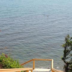 Спа-отель Гостеев на Прибое, Джубга, Краснодарский край