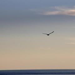 Мини-отель Аркадия, Джубга, Краснодарский край