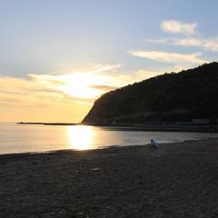 Мини-отель Аркадия, Джубга, Краснодарский край