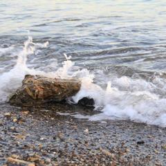 Мини-отель Аркадия, Джубга, Краснодарский край