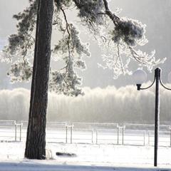 Отель Чайка, Дзержинск, Нижегородская область