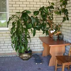 Гостевой дом Визит, Дивеево, Нижегородская область