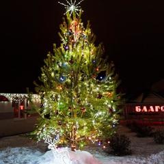Гостевой дом Благовест, Дивеево, Нижегородская область