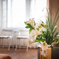 Гостевой дом Дивеев Град, Дивеево, Нижегородская область