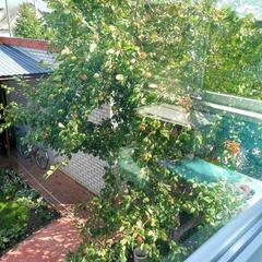 Гостевой дом На Восточной 1д, Дивеево, Нижегородская область