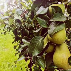 Гостевой дом На Восточной 1д, Дивеево, Нижегородская область