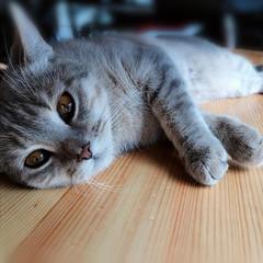 Гостевой дом На Восточной 1д, Дивеево, Нижегородская область