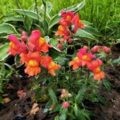 Гостевой дом На Восточной 1д, Дивеево, Нижегородская область