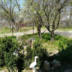 Мотель Мотель Маныч-Гудило, Дивное, Ставропольский край