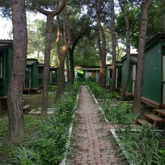 База отдыха Зеленый Гай, Дивноморское, Краснодарский край