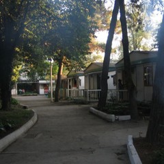 База отдыха Зеленый Гай, Дивноморское, Краснодарский край