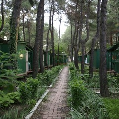 База отдыха Зеленый Гай, Дивноморское, Краснодарский край