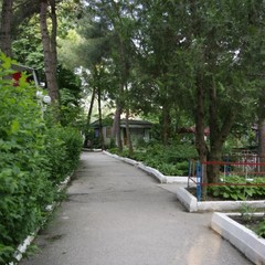 База отдыха Зеленый Гай, Дивноморское, Краснодарский край