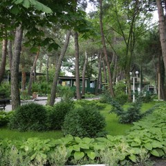 База отдыха Зеленый Гай, Дивноморское, Краснодарский край