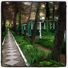 База отдыха Зеленый Гай, Дивноморское, Краснодарский край