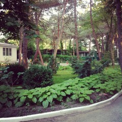 База отдыха Зеленый Гай, Дивноморское, Краснодарский край