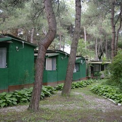 База отдыха Зеленый Гай, Дивноморское, Краснодарский край