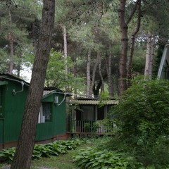 База отдыха Зеленый Гай, Дивноморское, Краснодарский край