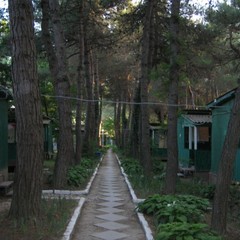 База отдыха Зеленый Гай, Дивноморское, Краснодарский край