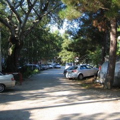 База отдыха Зеленый Гай, Дивноморское, Краснодарский край