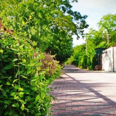 Парк-отель Парк-Отель Поляна, Дивноморское, Краснодарский край