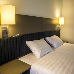 Гостиница Princess Frog, Дмитров, Московская область