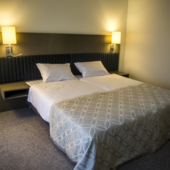 Гостиница Princess Frog, Дмитров, Московская область