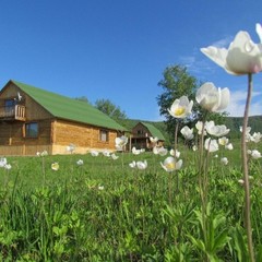 База отдыха Дивная, Добромысловский, Красноярский край
