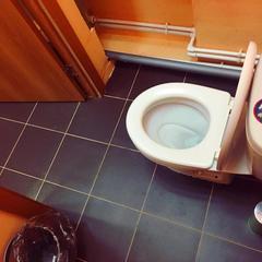 Гостиница Ковчег, Добринка, Липецкая область