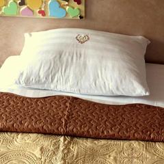 Отель Диадема Шереметьево, Долгопрудный, Московская область