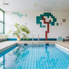 Отель Холидей Инн Москва Виноградово, Долгопрудный, Московская область