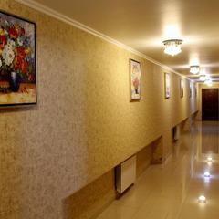 Отель Диадема Шереметьево, Долгопрудный, Московская область