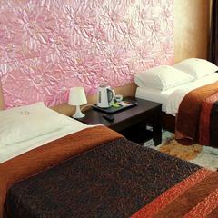 Отель Диадема Шереметьево, Долгопрудный, Московская область