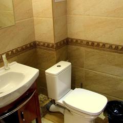 Отель Диадема Шереметьево, Долгопрудный, Московская область