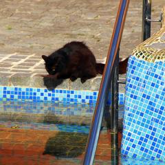 Отель Диадема Шереметьево, Долгопрудный, Московская область
