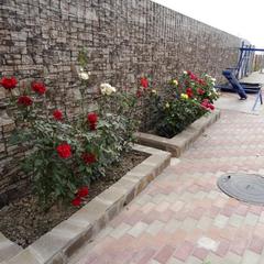 Гостевой дом Надежда, Должанская, Краснодарский край