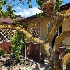 Гостевой дом На Приморской 28, Должанская, Краснодарский край