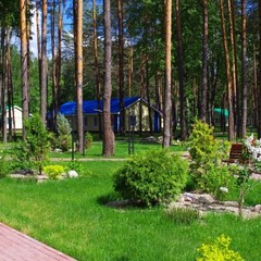 База отдыха Сосновый Бор, Домашово, Брянская область
