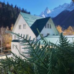 Гостиница Снежная королева Домбай, Домбай, Республика Карачаево-Черкесия 