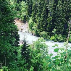 Отель Москва, Домбай, Республика Карачаево-Черкесия 