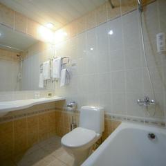 Отель Аэротель Домодедово, Домодедово, Московская область