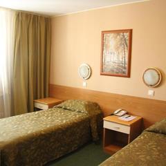 Отель Аэротель Домодедово, Домодедово, Московская область