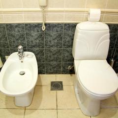 Отель Аэротель Домодедово, Домодедово, Московская область