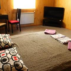 Гостевой дом Пилот, Домодедово, Московская область